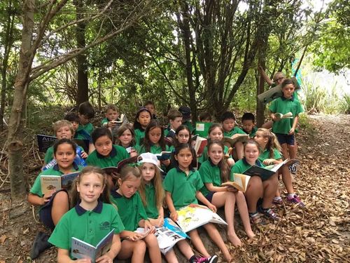 新西兰学生签证开放了吗