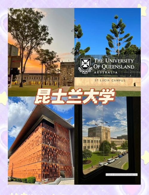 澳洲昆士兰大学 排名