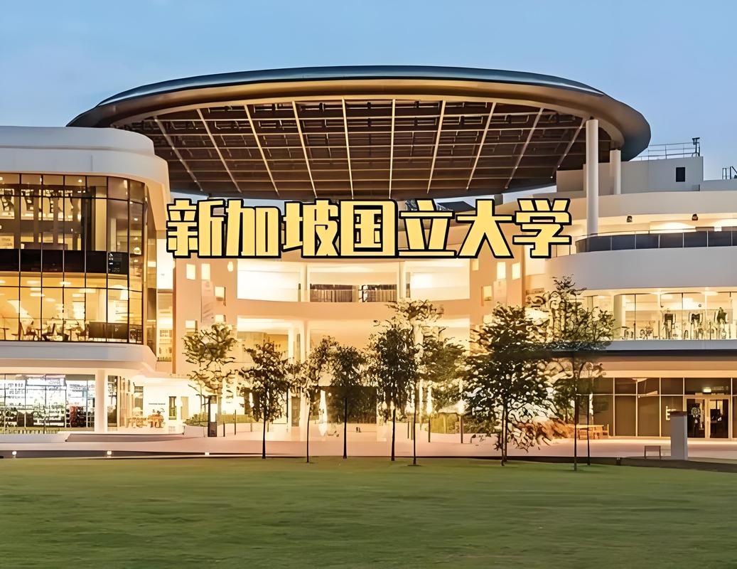 新加坡国立大学中外合办