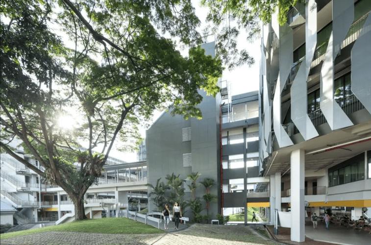 新加坡国立大学春季项目