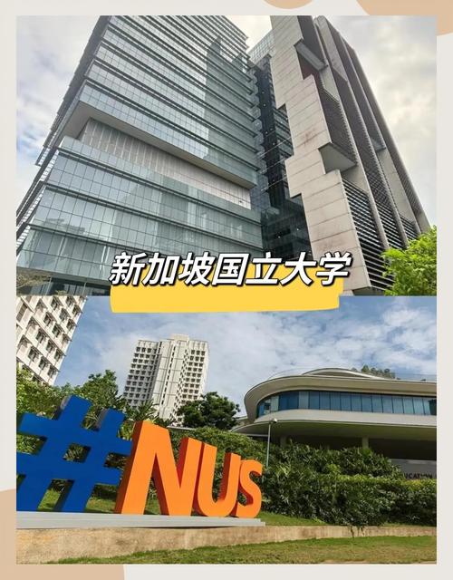 新加坡国立大学专业前景