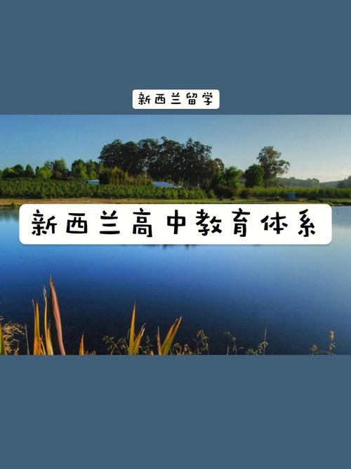 新西兰高中可以带手机吗