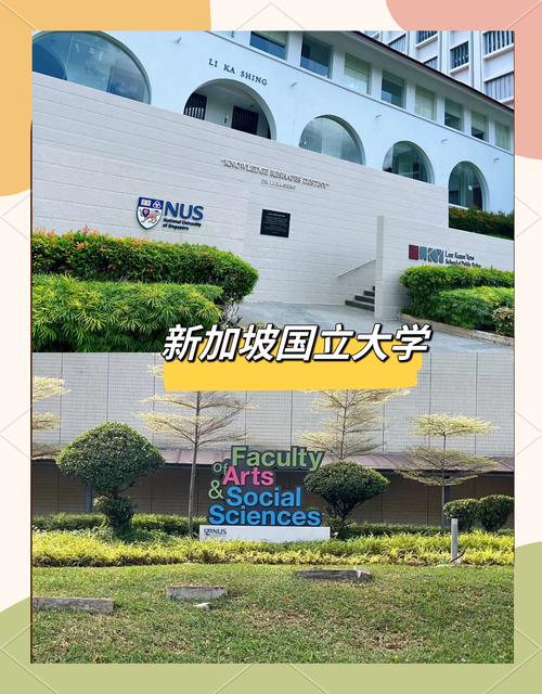 新加坡国立大学国际本科