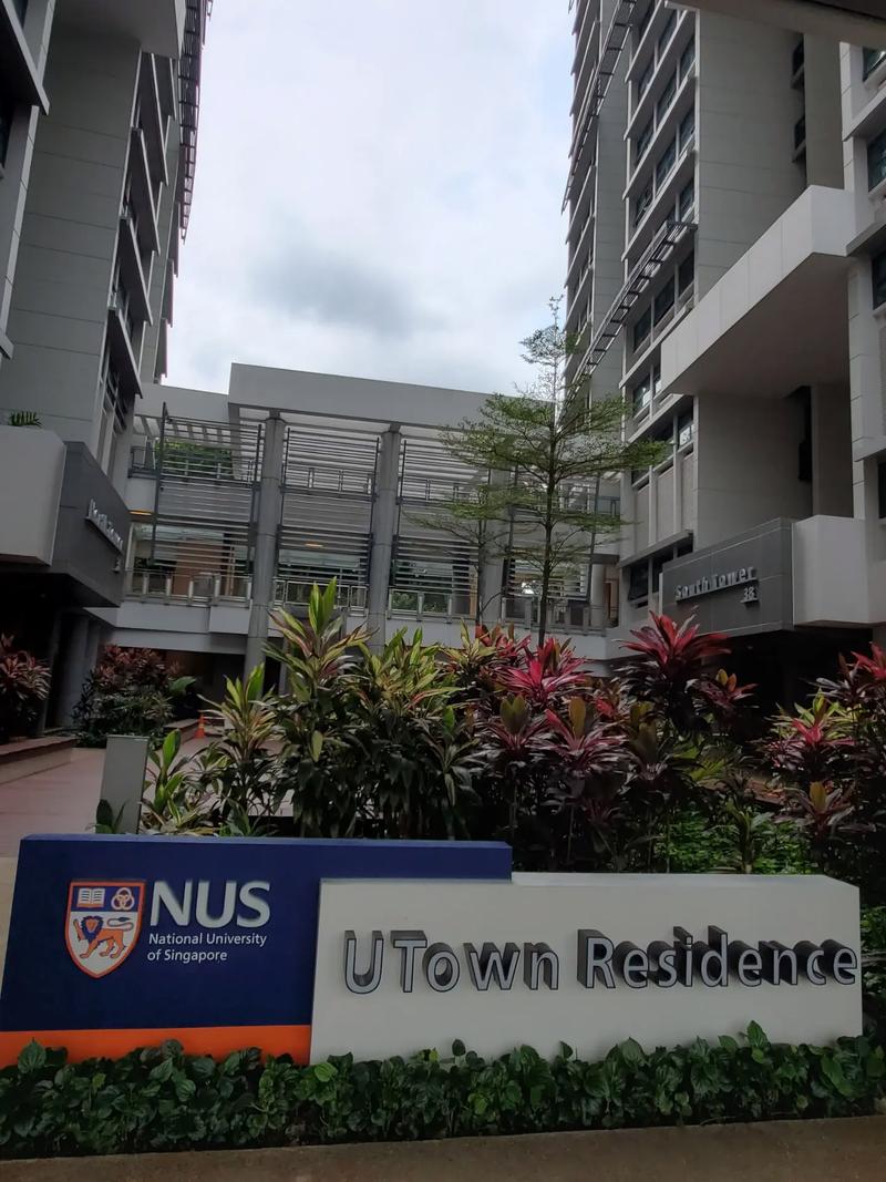 新加坡国立大学国际本科