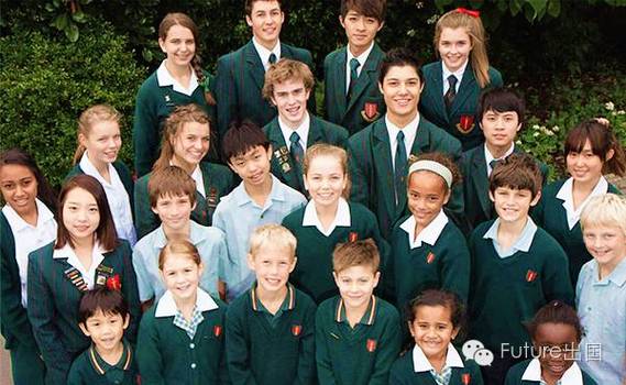 新西兰3年工作签证价格