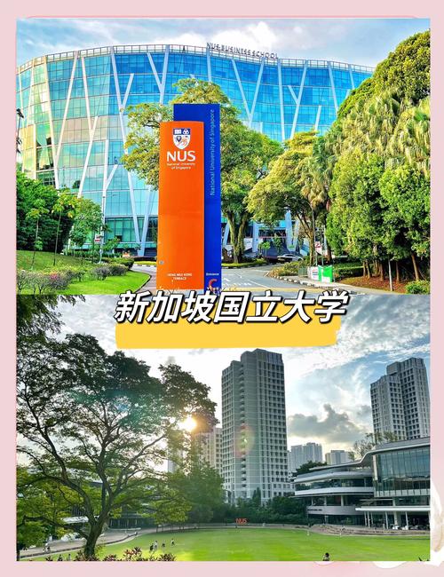 新加坡国立大学国内大学