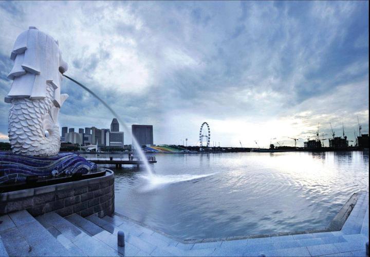 怎么办理新加坡陪读签证