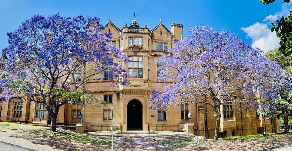 2025澳洲留学条件