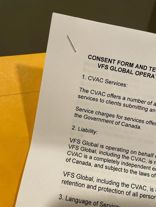 在美国怎么办加拿大签证