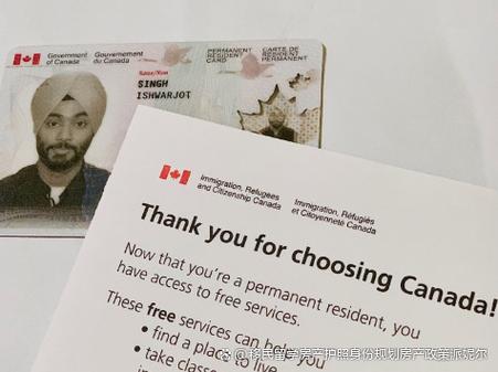 加拿大枫叶卡 美国签证