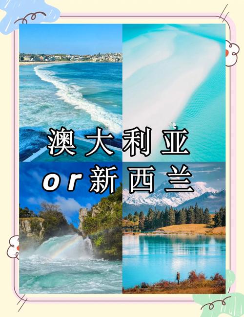 新西兰世界排名前500