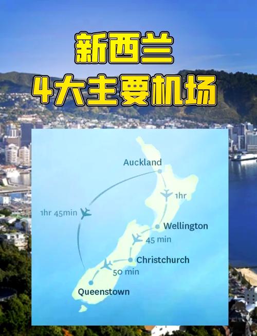 新西兰世界排名前500