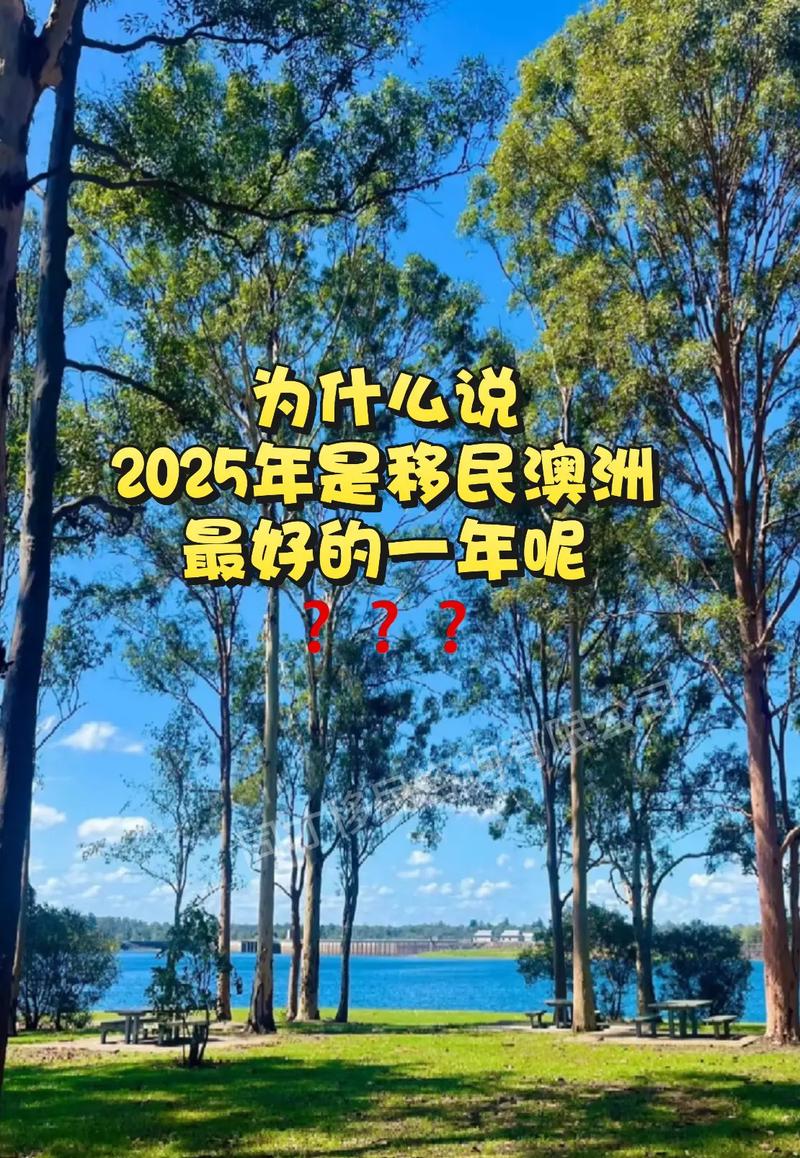 2025澳洲移民战报