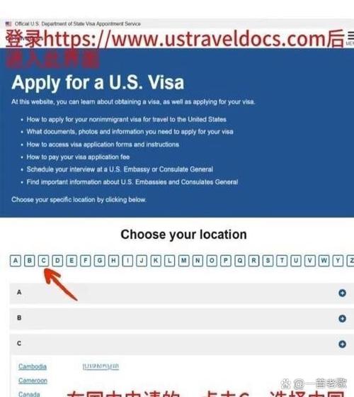 2025美国签证通过率