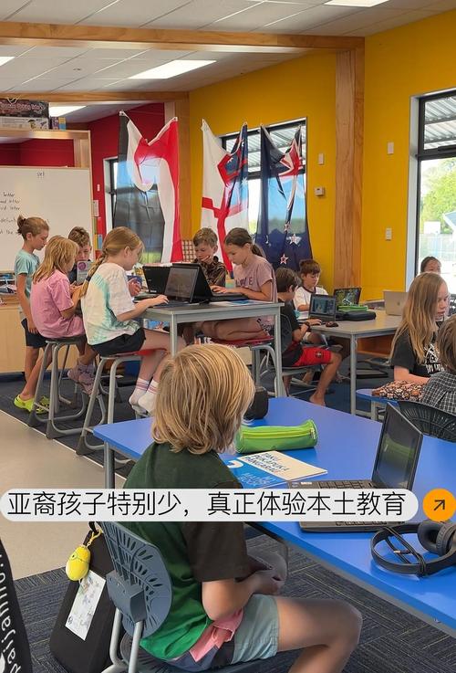如何自己申请新西兰小学