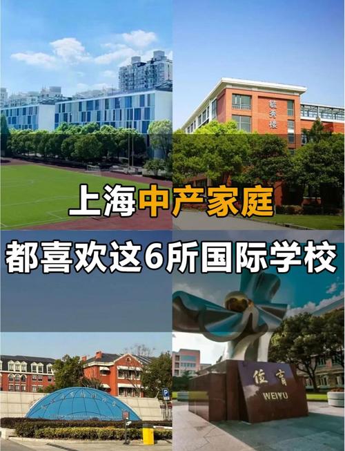 上海新加坡国际学校更名