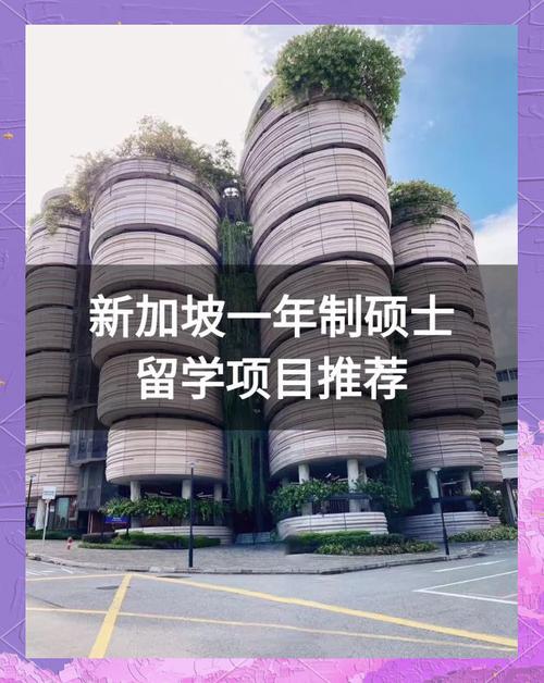新加坡政府资助留学项目