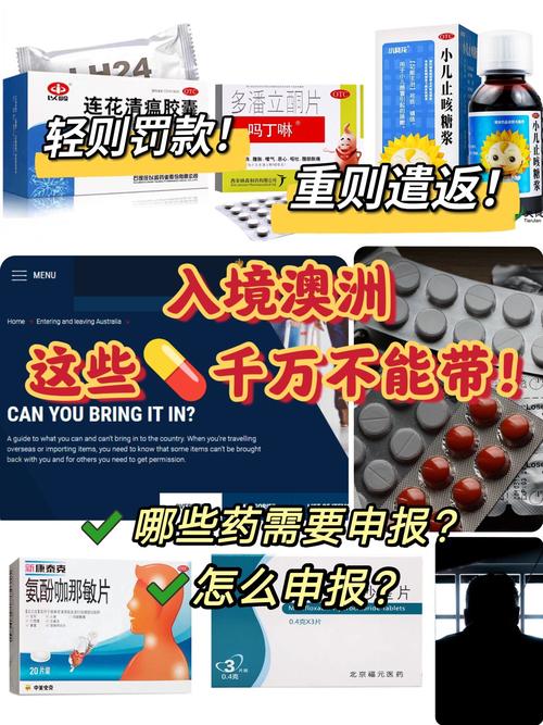 澳洲入境药物 板蓝根