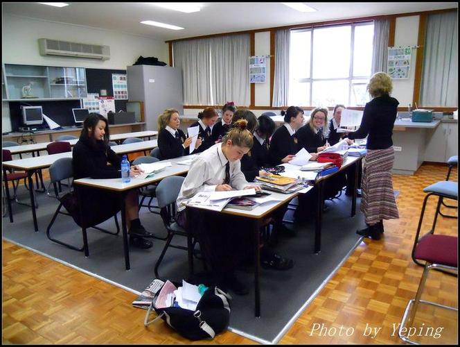 澳洲 私立小学 插班