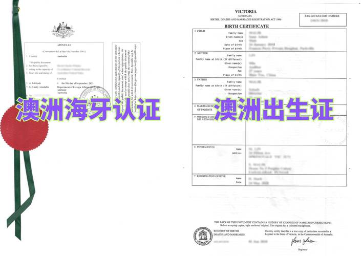 澳洲485 出生公正