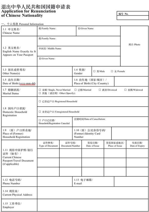 儿童 新加坡签证申请表