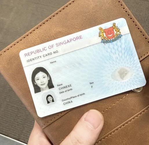 新加坡硕士毕业申请绿卡