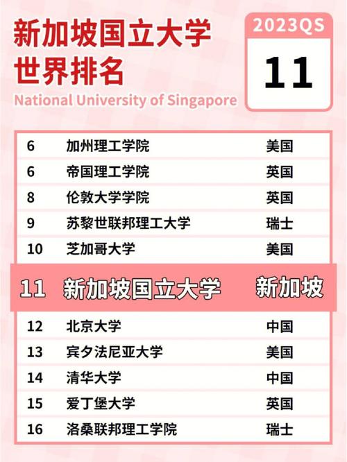 澳洲国立VS新加坡国立