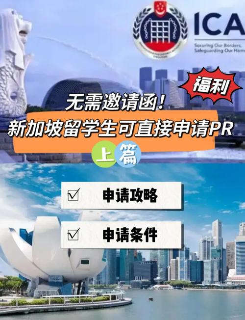 宝宝上学新加坡申请pr