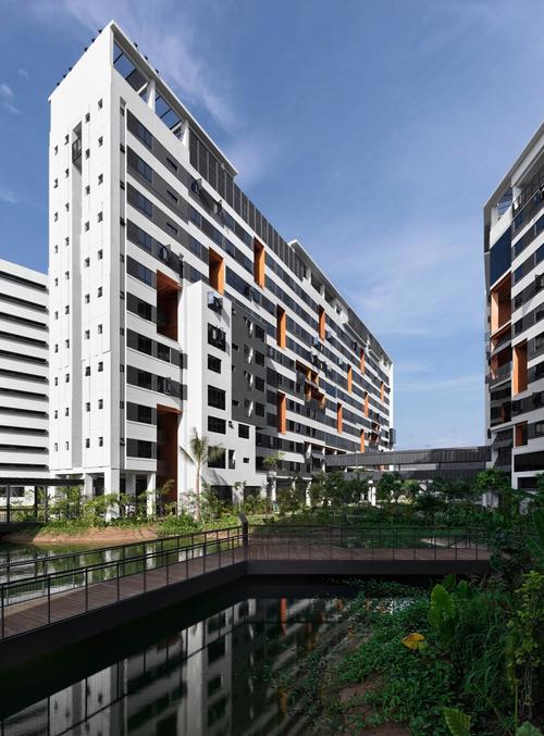 新加坡科技设计大学专业