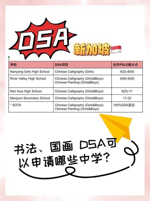 新加坡dsa进中学绘画