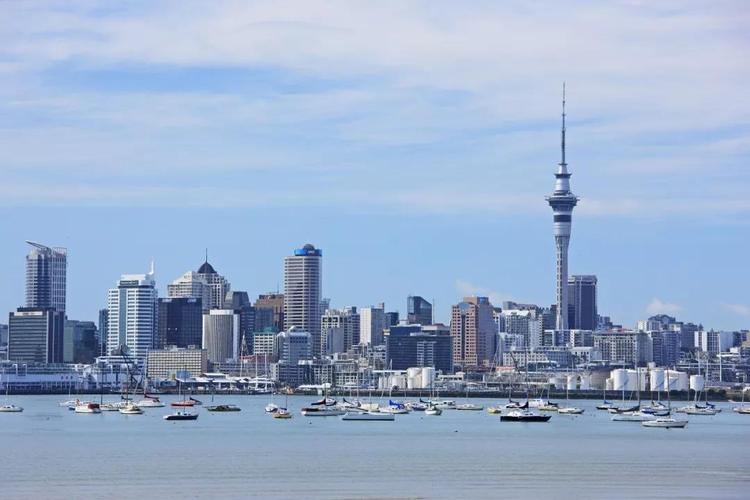 新西兰移民签证多久开放