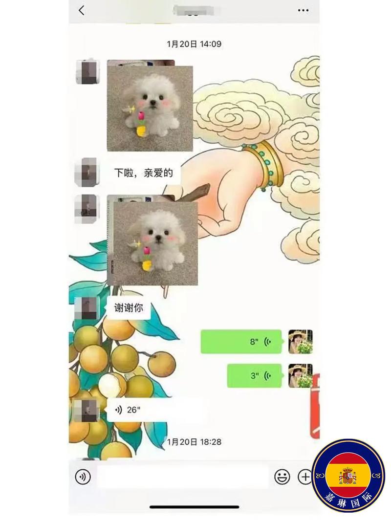 广州西班牙签证中心地址