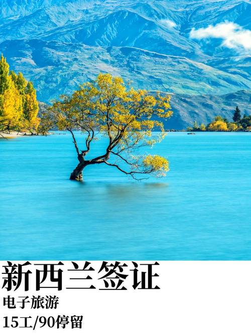 新西兰签证 补充完材料