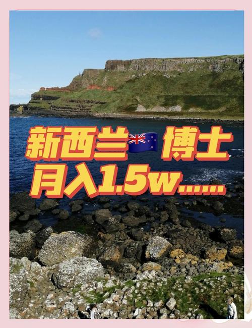 新西兰博士毕业就业情况