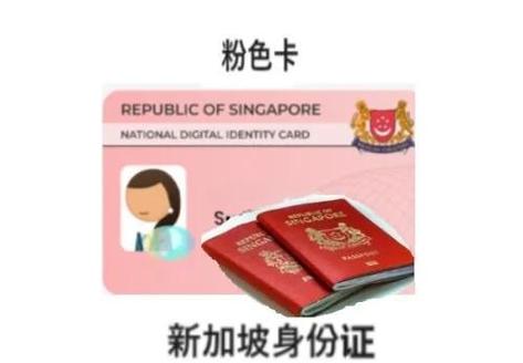 如何申请成为新加坡公民