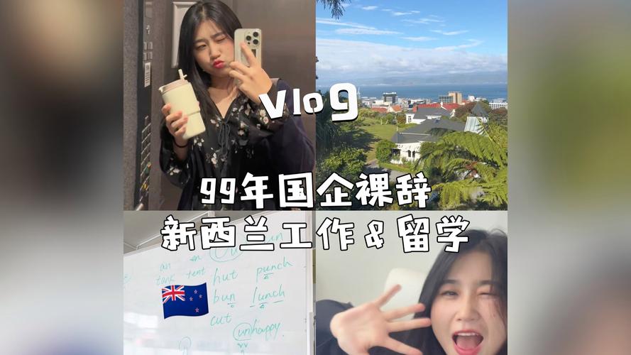 新西兰 公司 文化差异